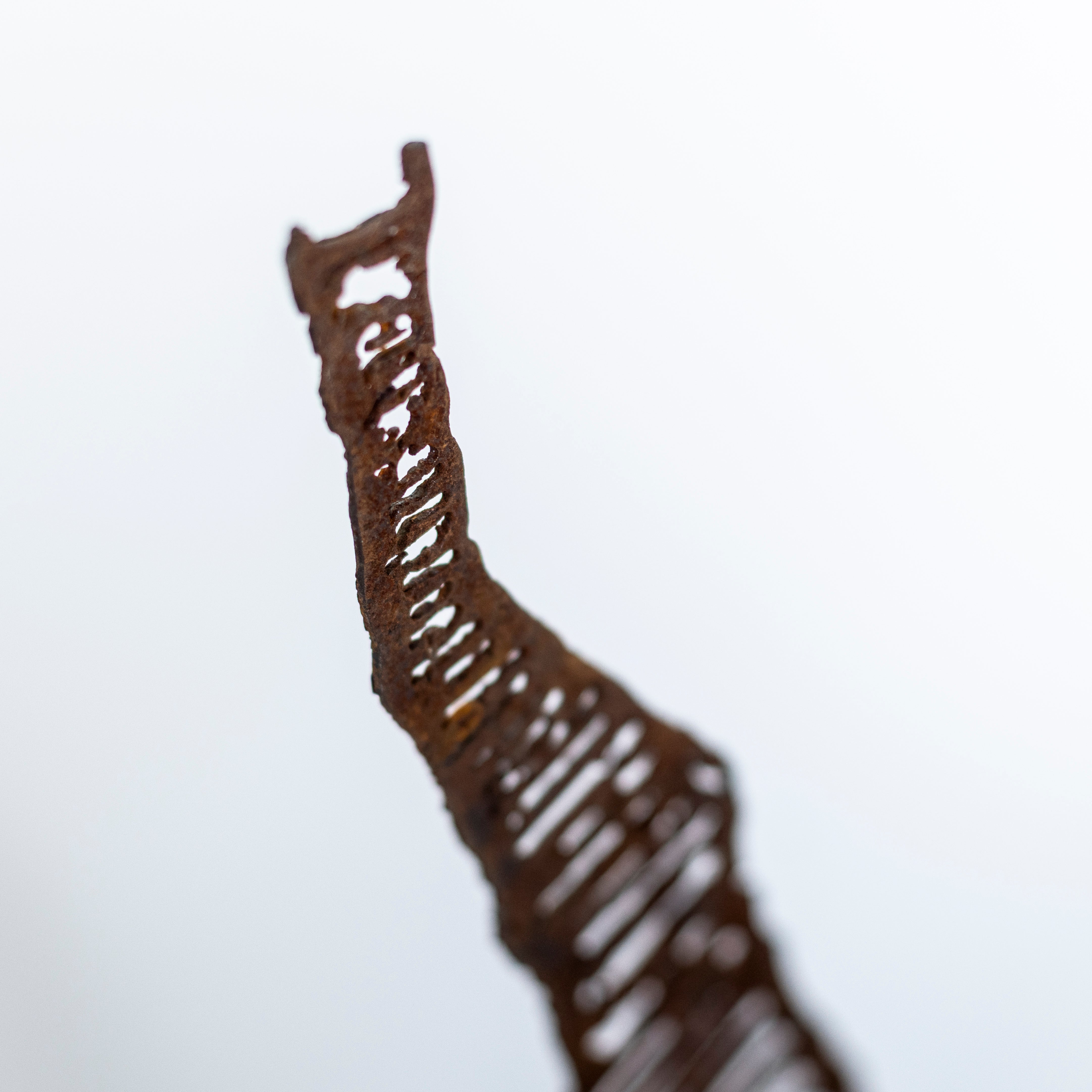 The ladder