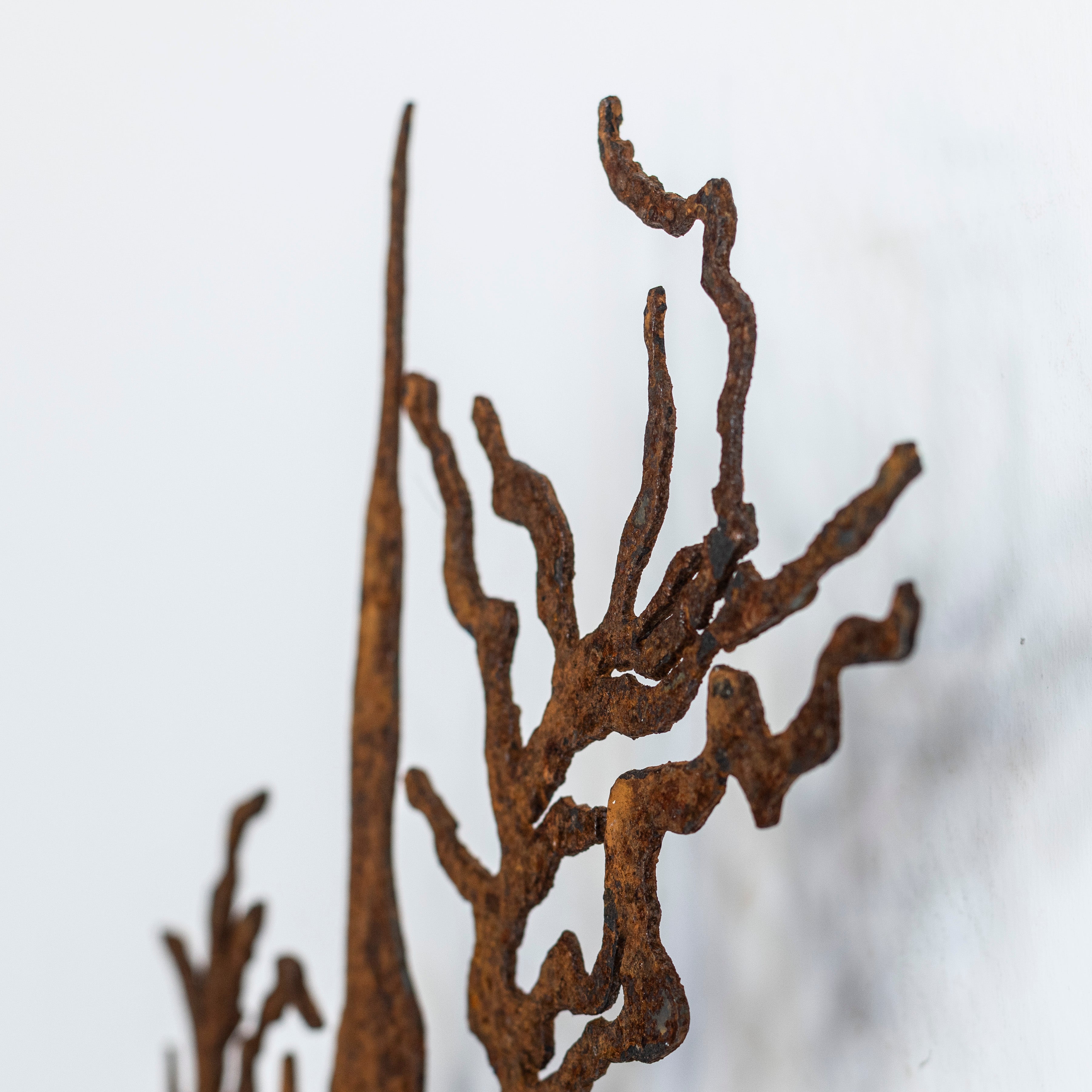 A person grows