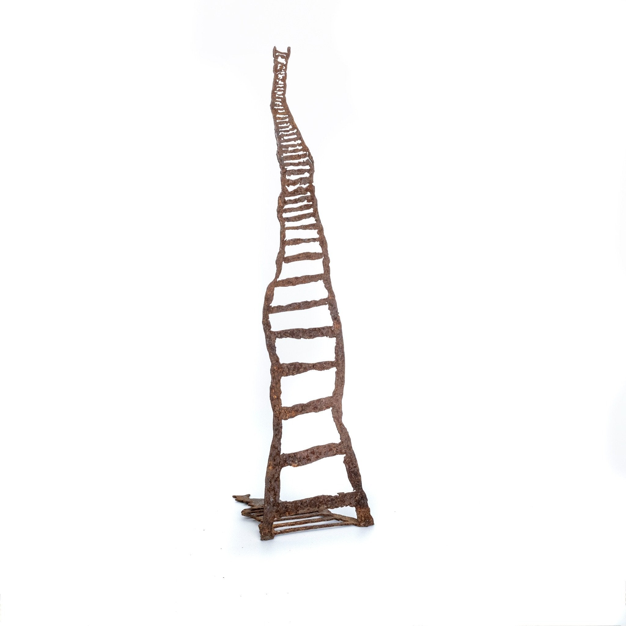 The ladder