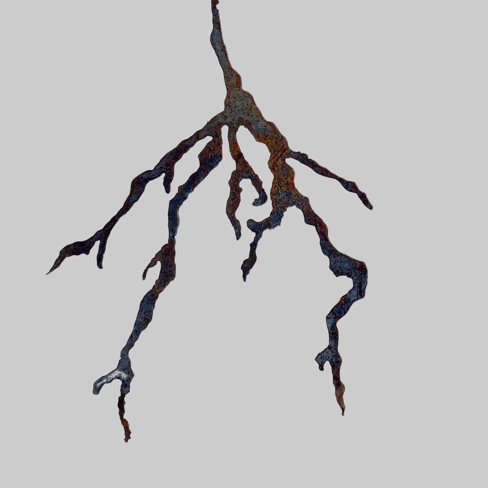 A person grows