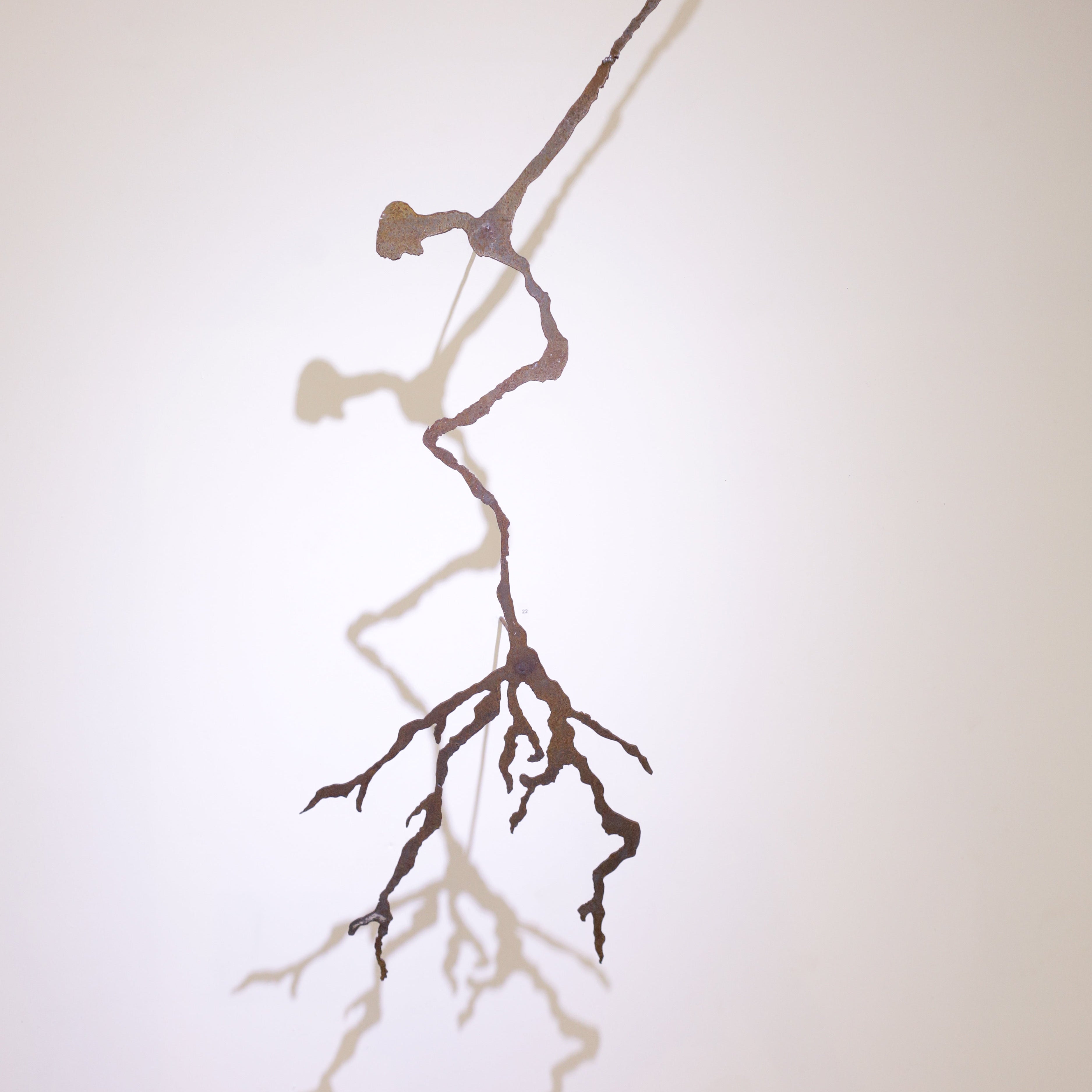 A person grows